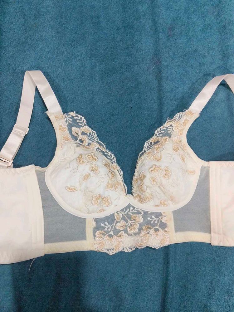 Elegant Embroidered Lace Bra