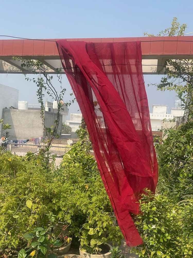 Vibrant Red Dupatta