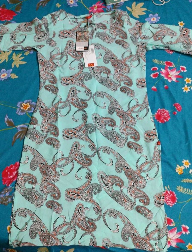 Light Blue Paisley Print Kurta