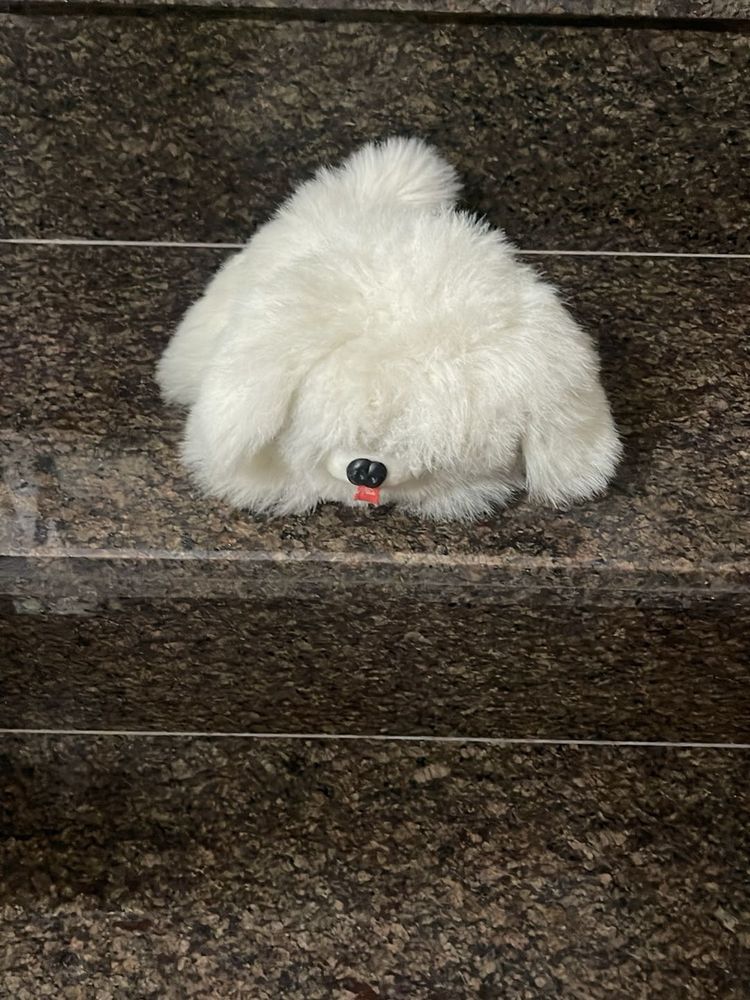 Adorable Plush Dog Toy