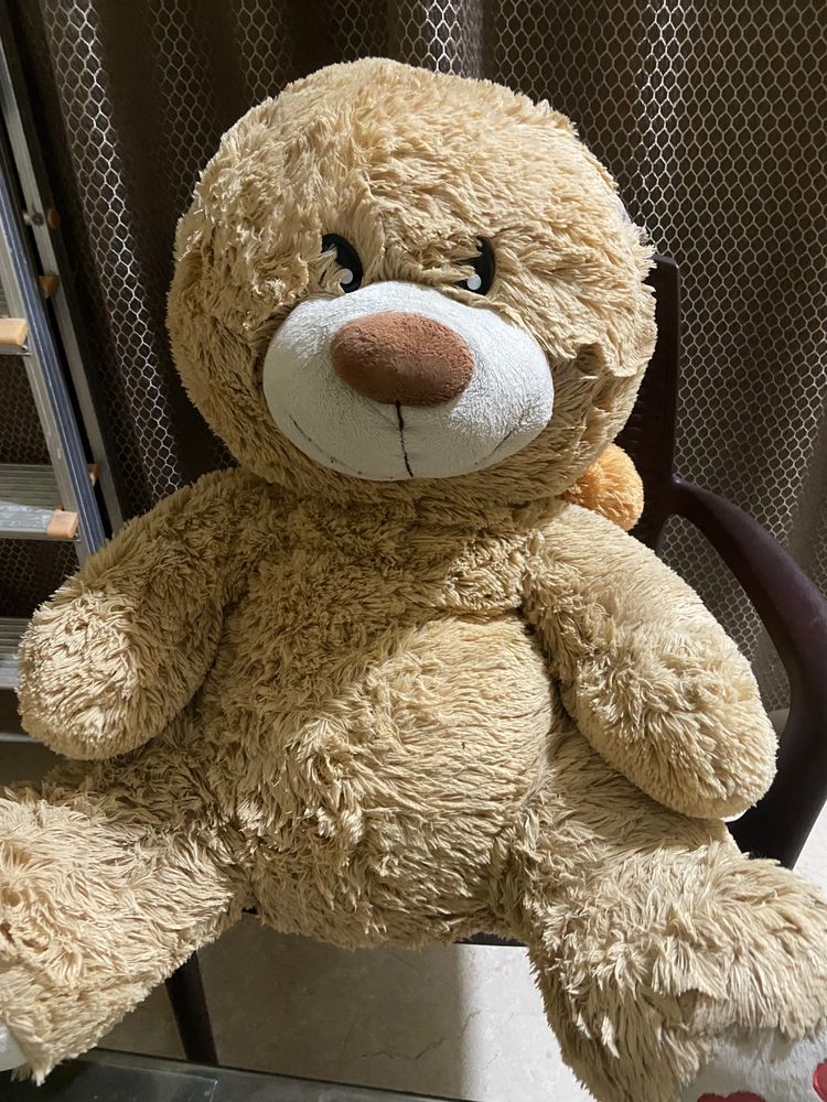 Teddy For Your Little Babies