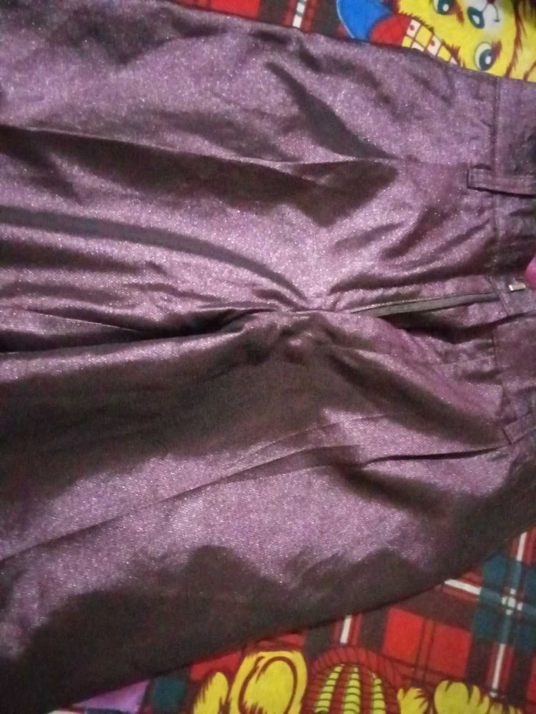 Shiny Purple Pants