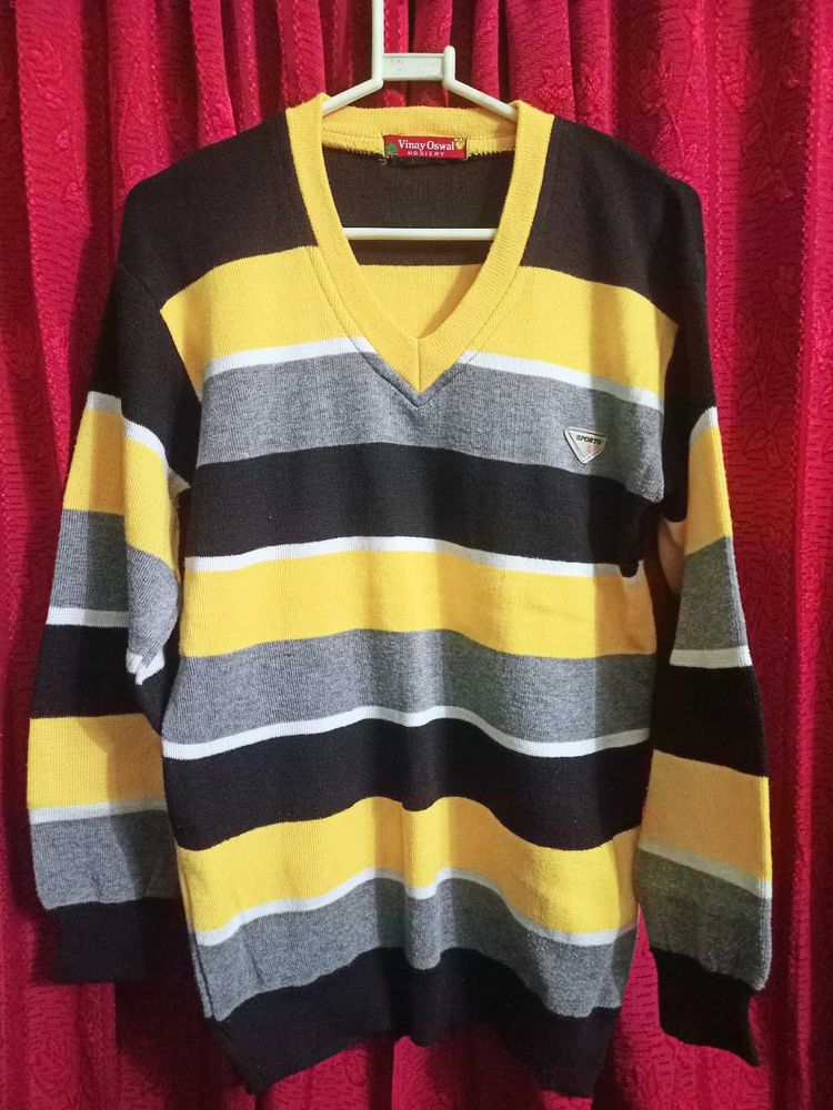 Brand New V-Neck Sweater