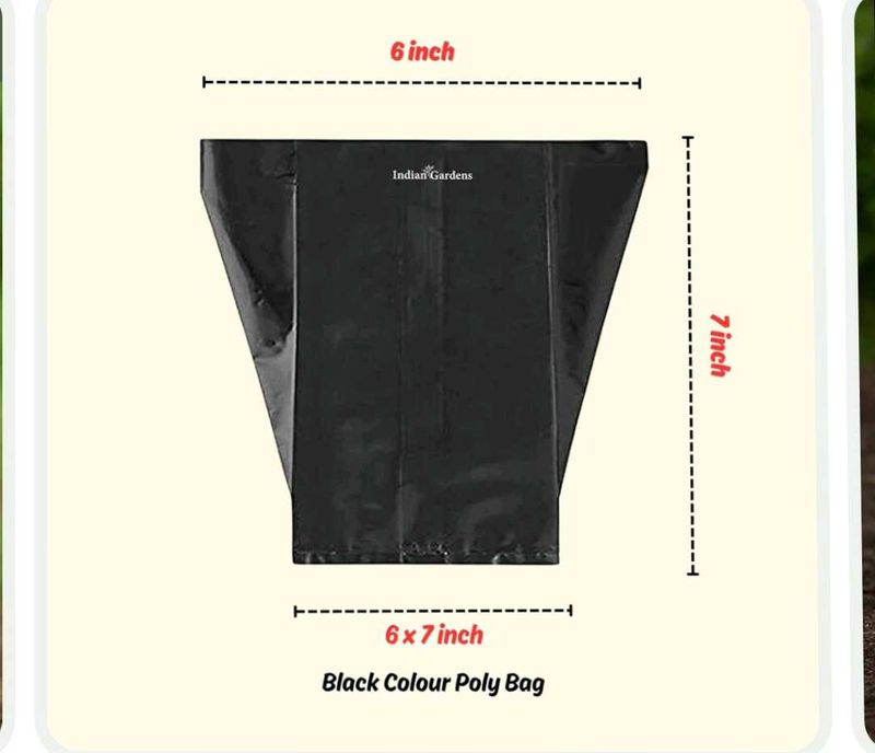Black Poly Bags for Storage