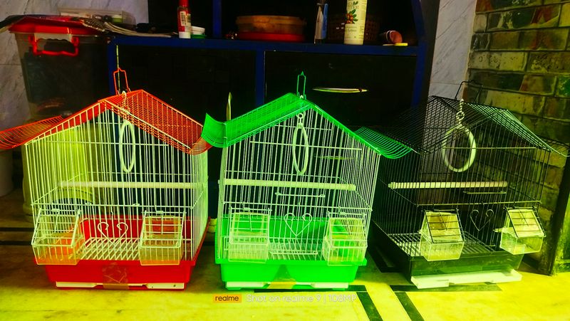 Cage Pijara