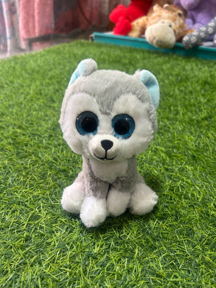 Husky Dog