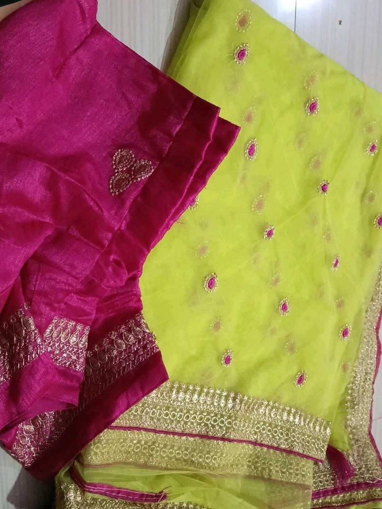 Vibrant Saree with Embellished Blouse