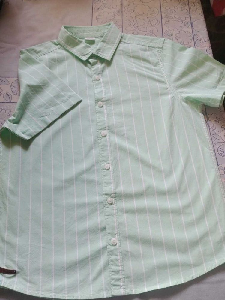 Light Green Striped max's half Sleeve Shirt