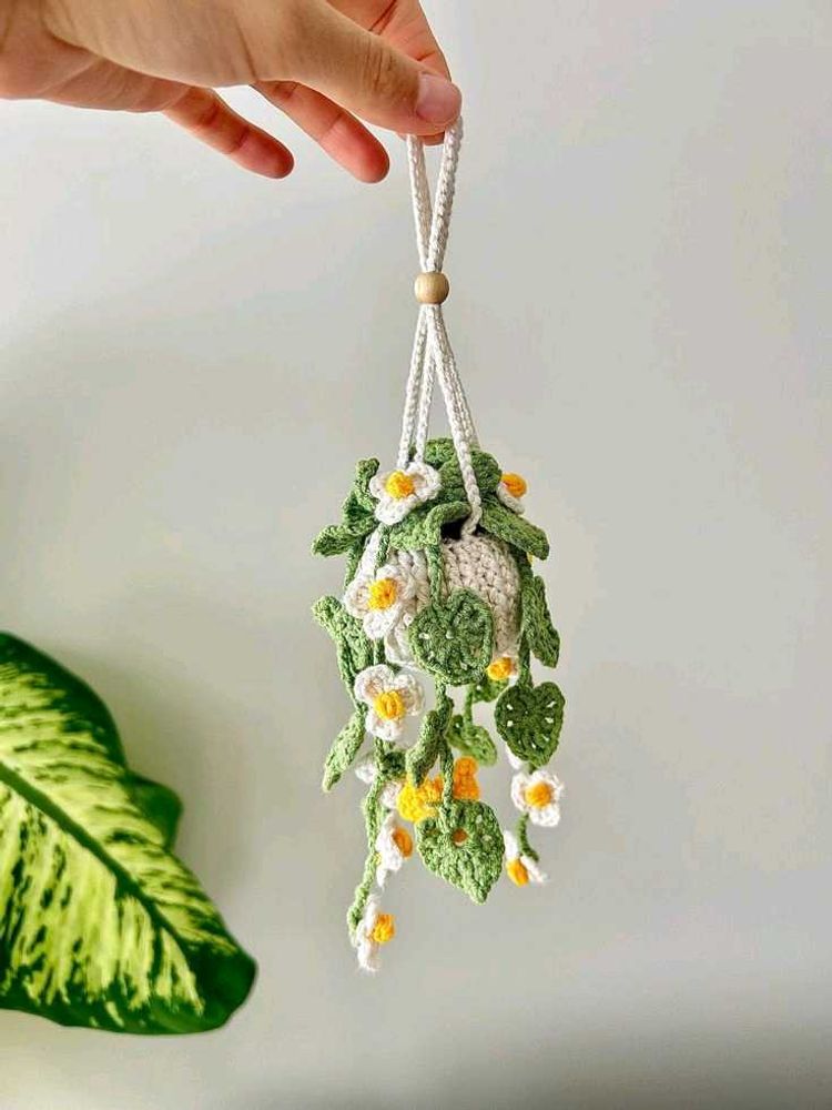 Handmade Crochet Hanging Plant Decor