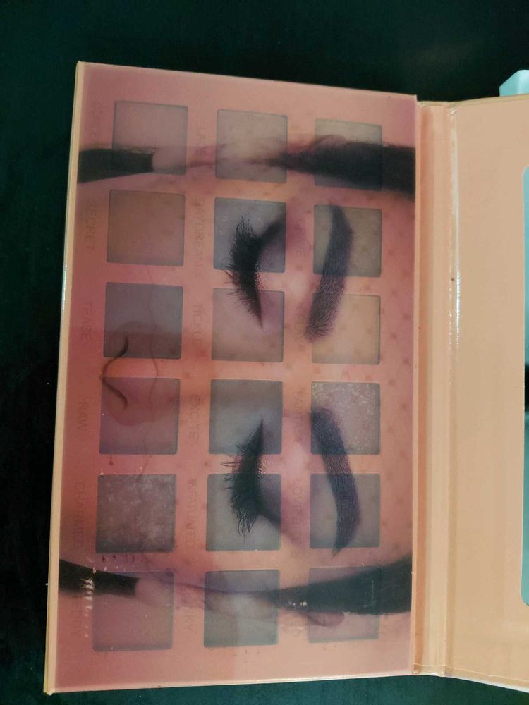 New Nude Palette.
