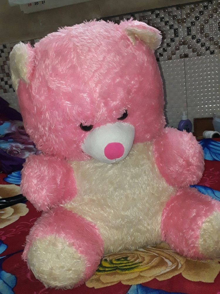 Huge Big Teddy