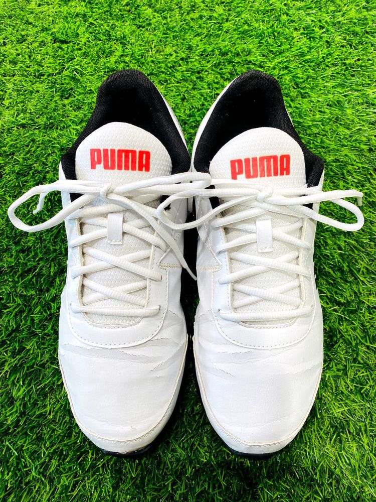 Puma White &amp; Red Sneakers