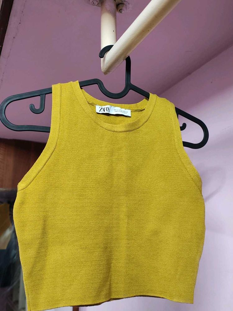 Zara Mustard Crop Top