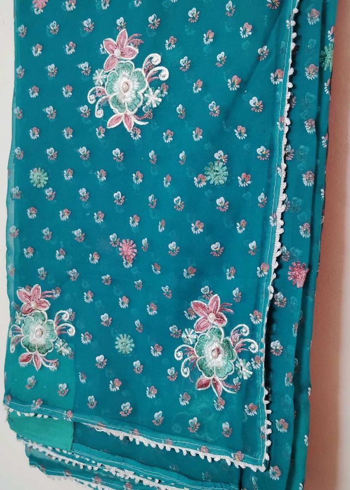 Embroidered Chiffon Saree 🩷