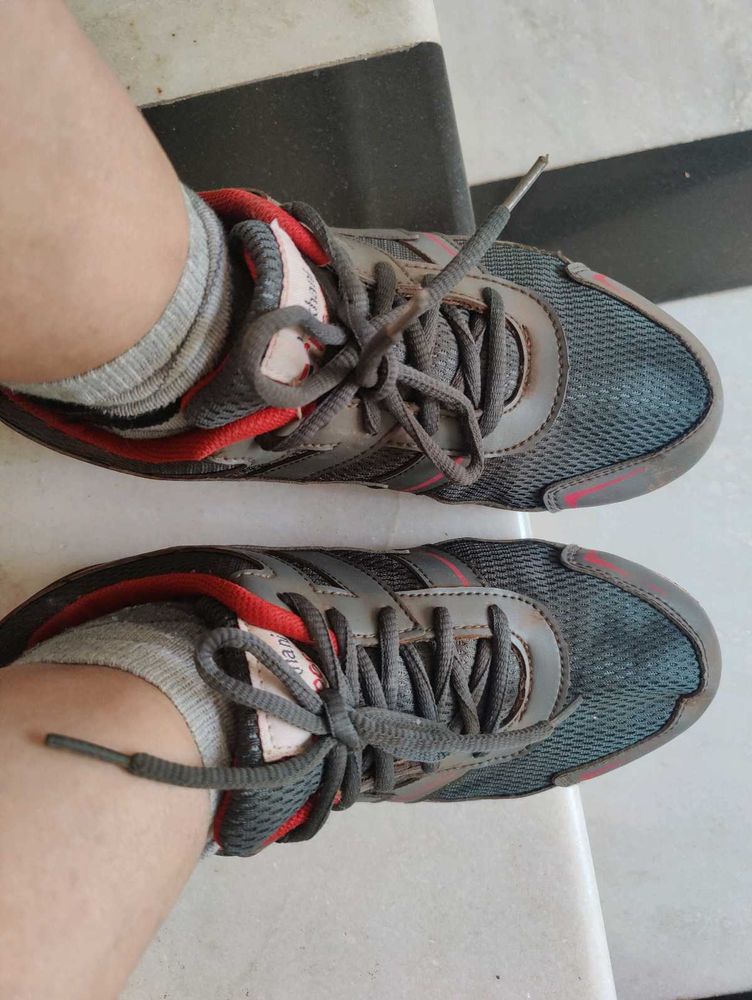 Lakhani Armaan Sports Shoes