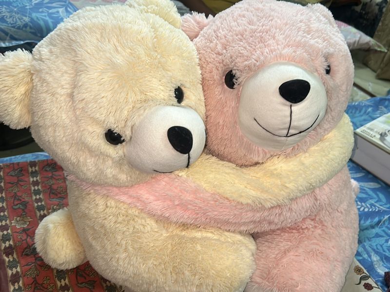 Hugging Teddy 🧸
