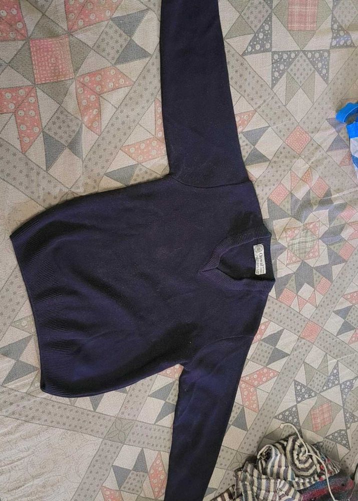 Men's Navy V-Neck Sweater
