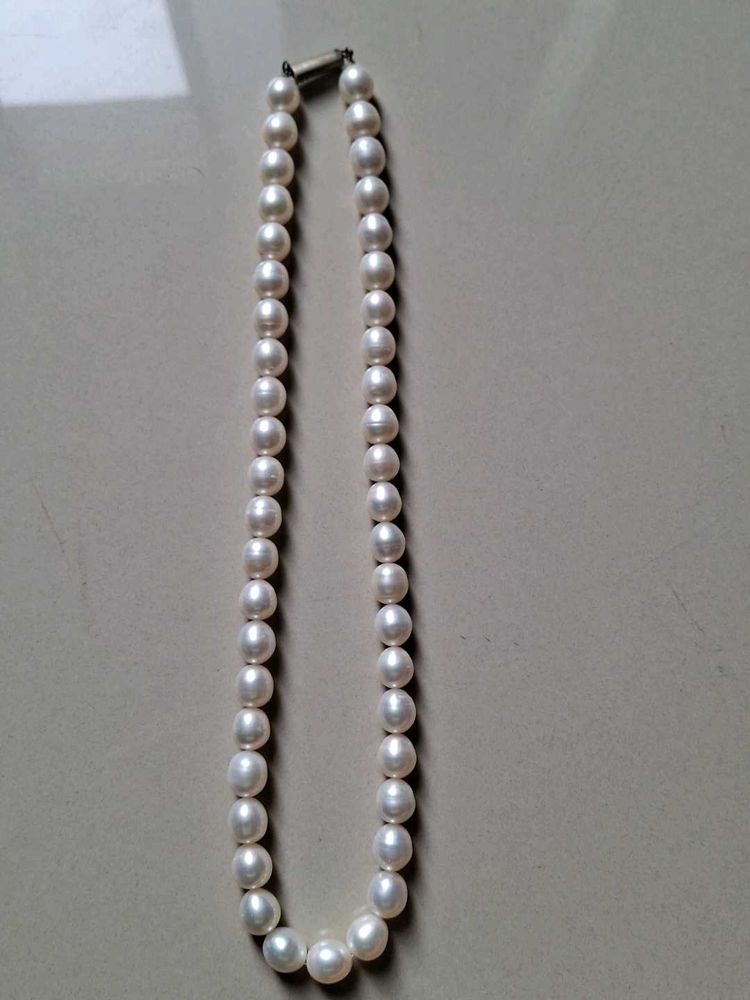 White original peral