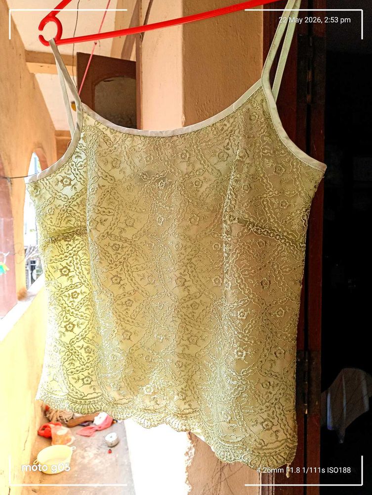 Pastel green Top Full Embroided