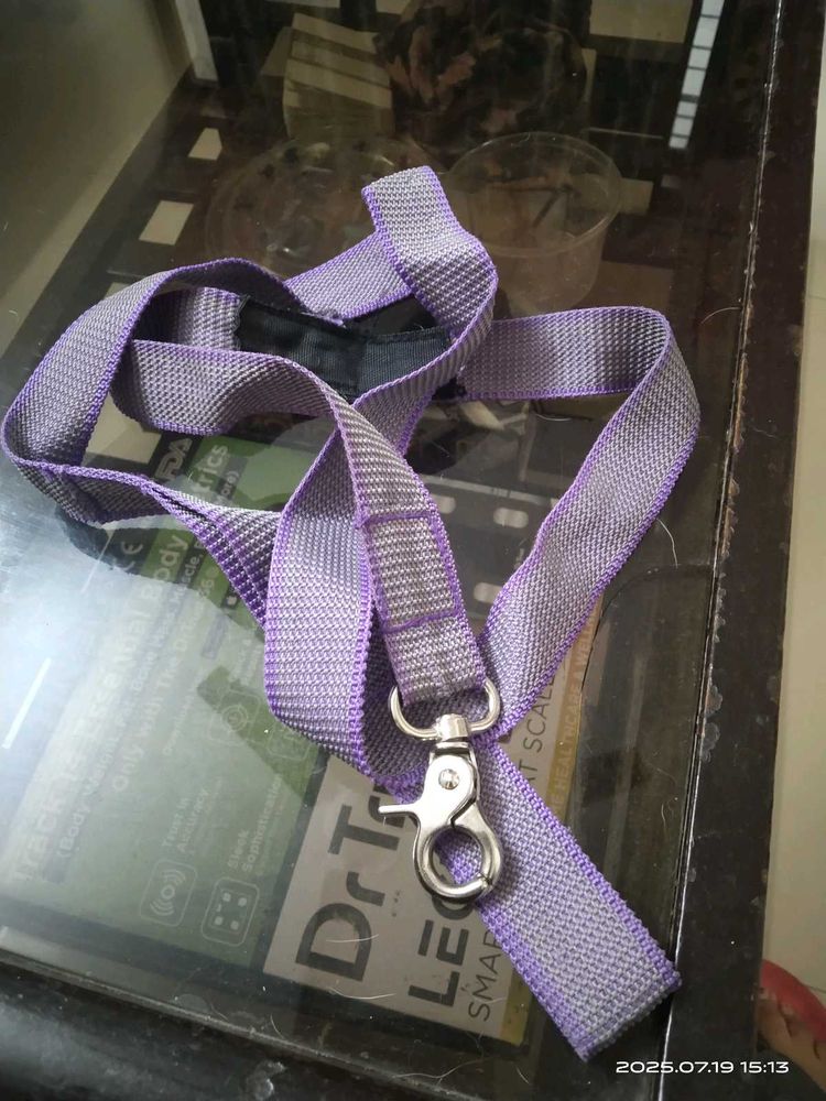 Free - Pet Leash
