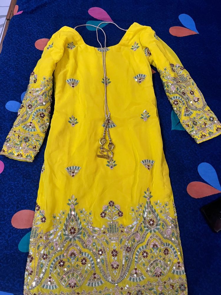 Partywear Punjabi Suit  - Elegant &amp; Traditional