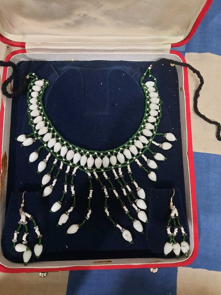 Beautiful Beaded Necklace &amp; Earring Set
