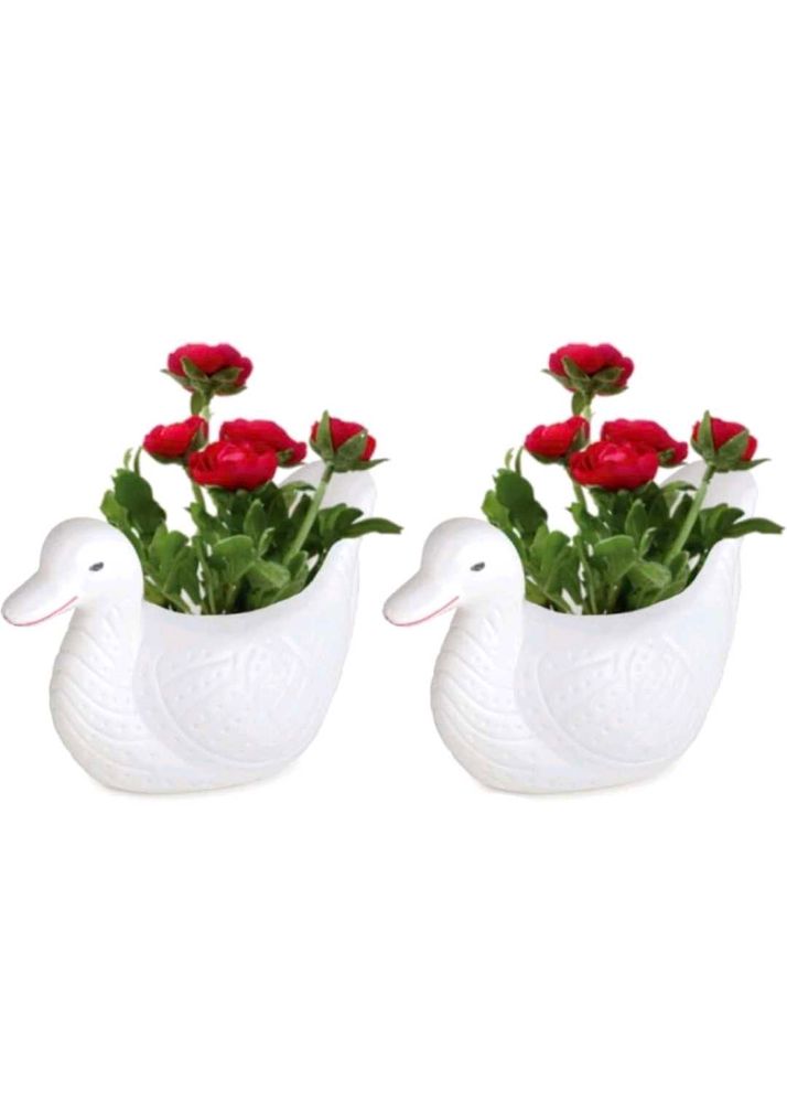 Adorable Duck Planters Set of 2