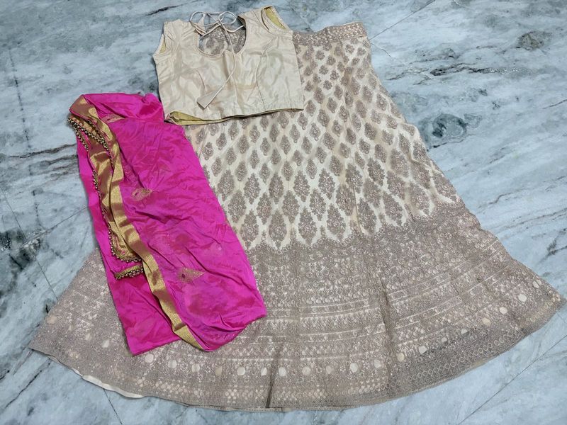 Designer Lehenga Choli Set