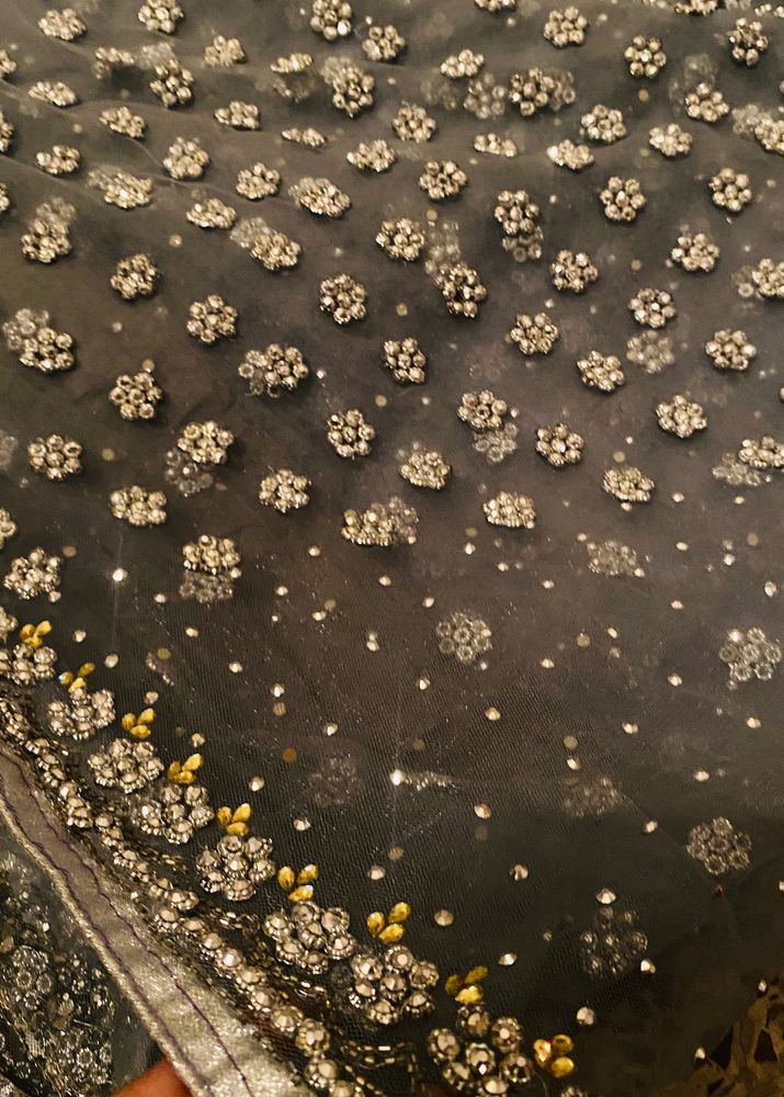 Embellished Saree