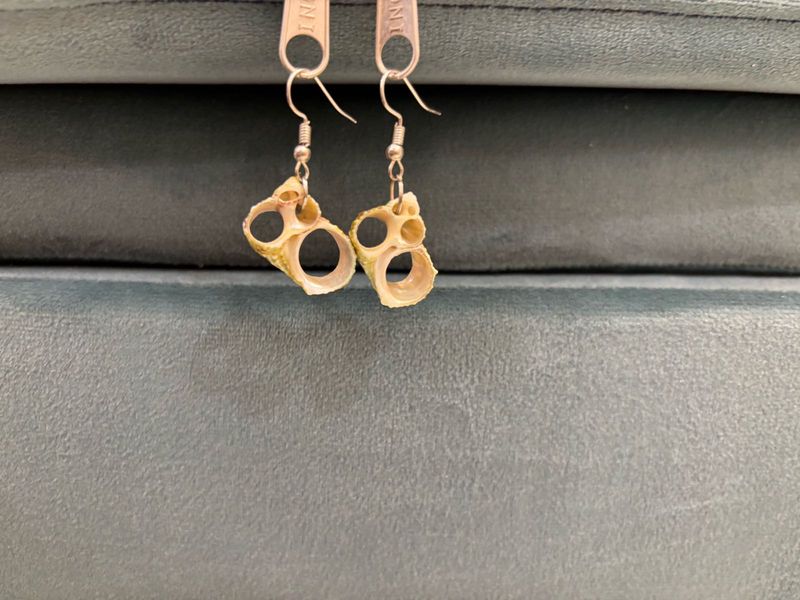 Unique Shell Earrings - Handmade at Pondicherry