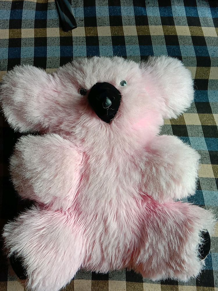 Baby Pink Teddy Dog