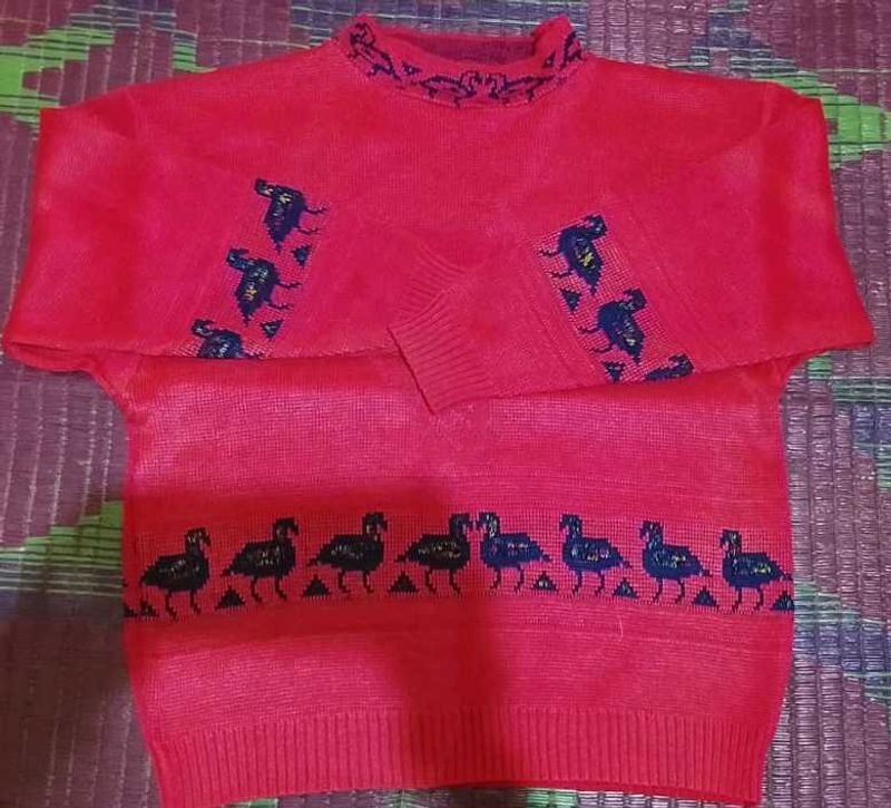 Charming Red Duck Print Sweater