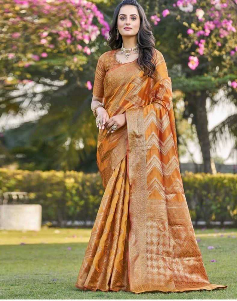 Elegant Traditional Saree