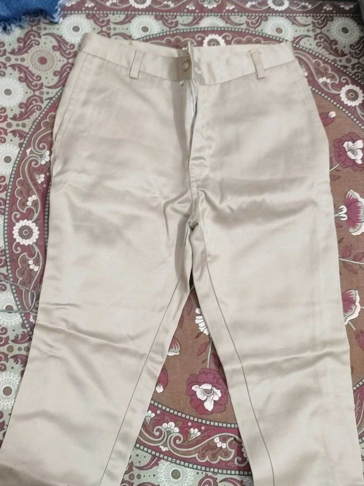 Elegant Beige Straight Leg Pants