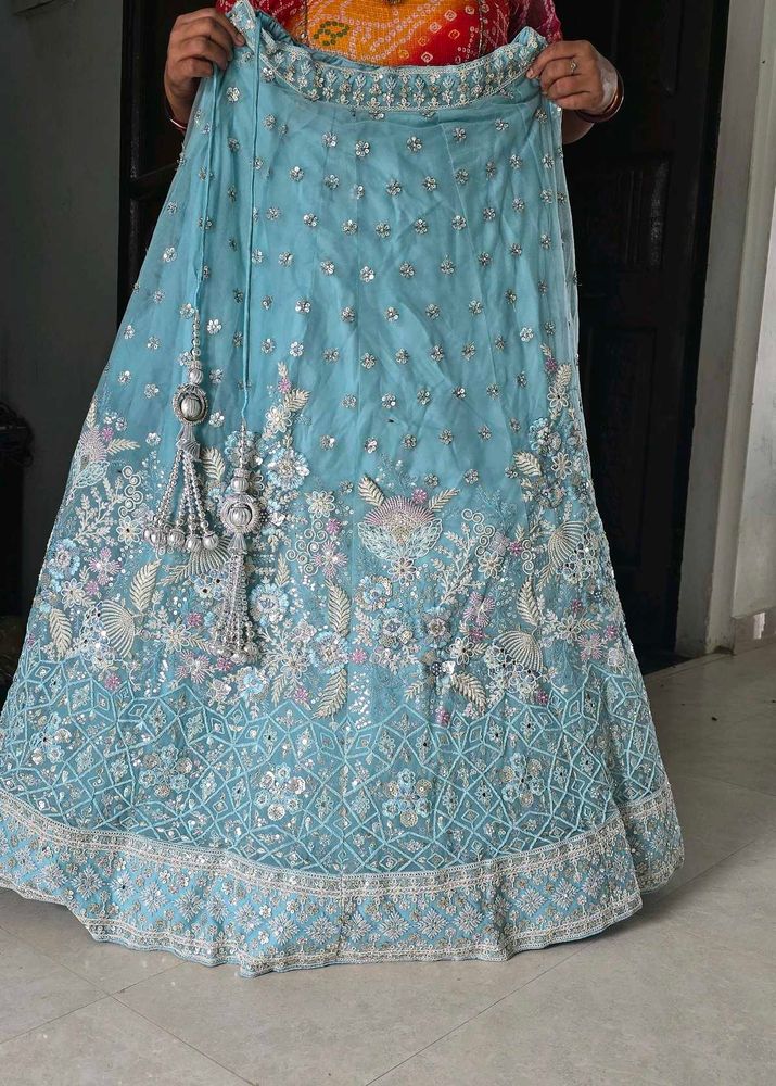 Stunning Embellished Lehenga Choli
