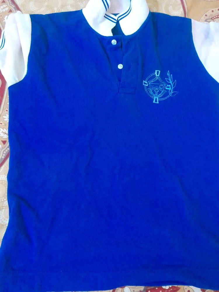 Men's Blue Polo T-Shirt
