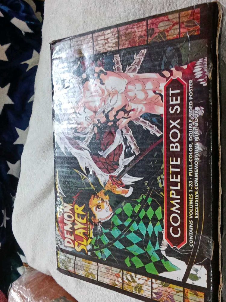Demon Slayer Complete Box Set 1_23