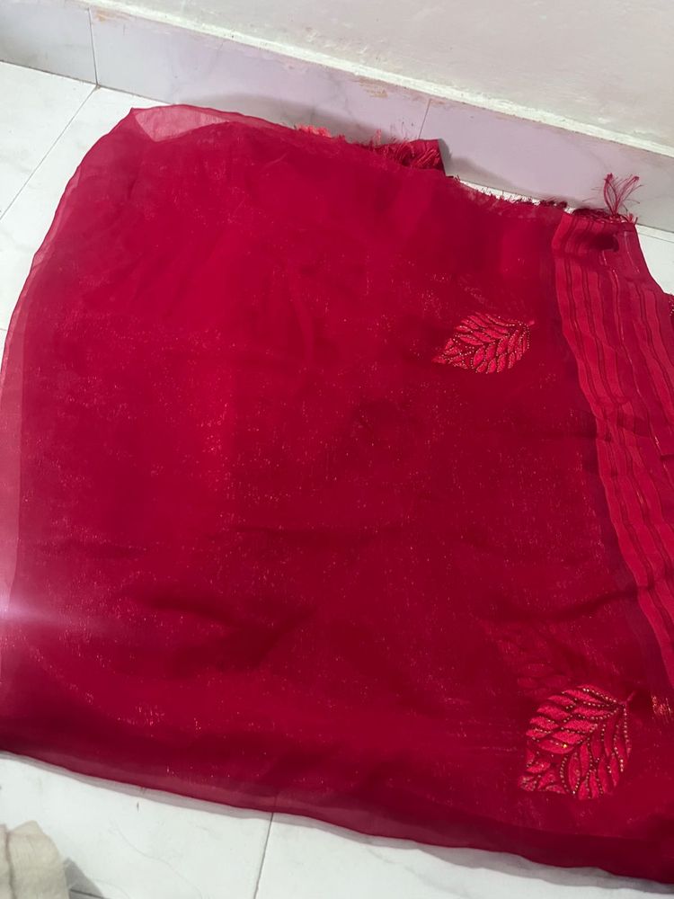 Beautiful Red Saree with Leaf Embellishments