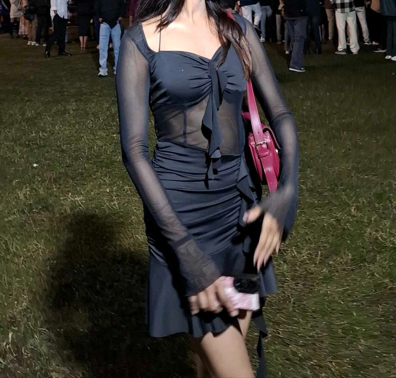 Black Ruched Mesh Bodycon Mini Dress