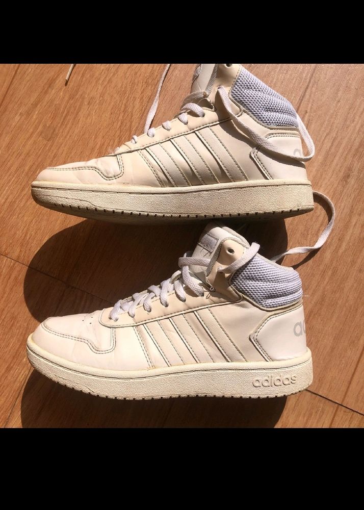 Need Money