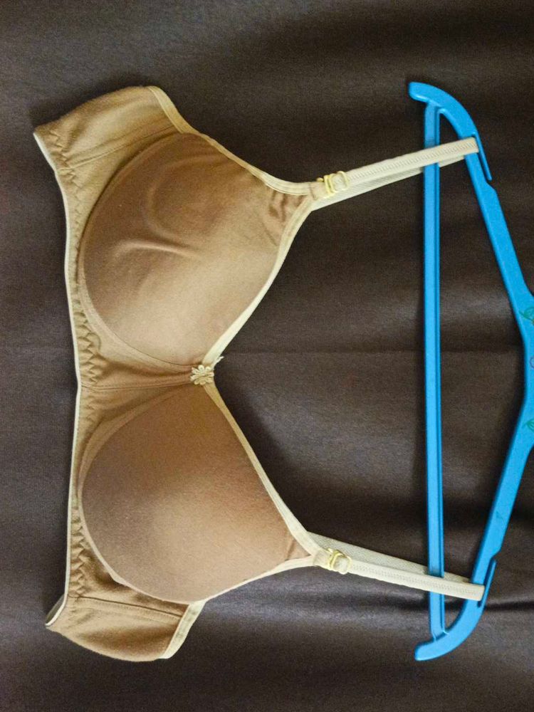 Comfortable Lightly Padded Bra