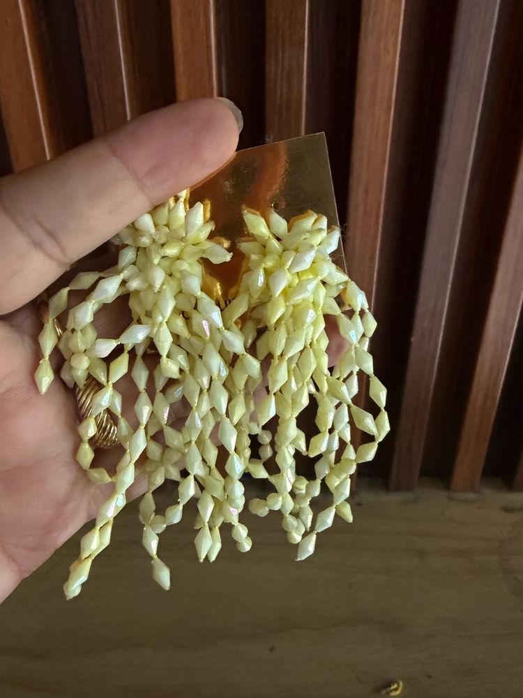 Unique Beaded Dangling Earrings