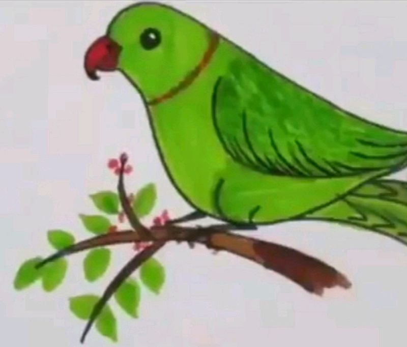 Parrot Wall decorate Acrylic paint carbood A4 3D