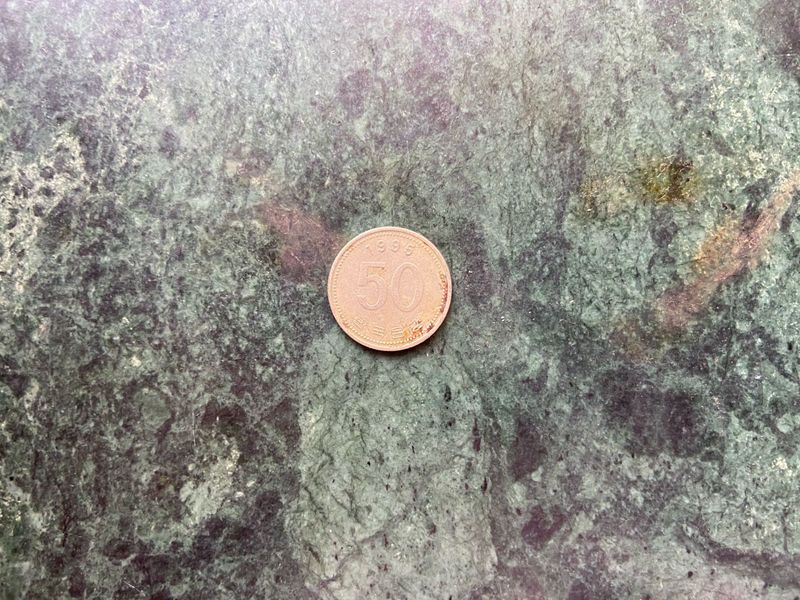 Vintage 1995 50 Won Coin