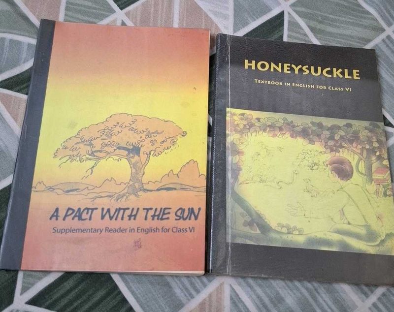Class VI English Books