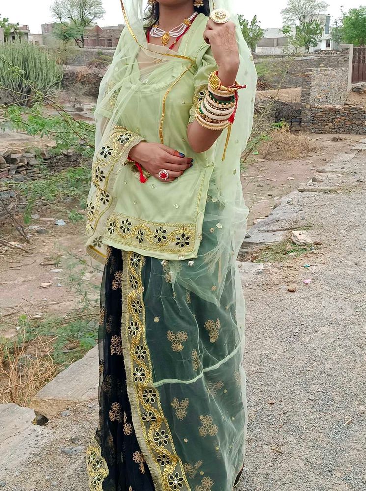 beautiful rajputi poshak