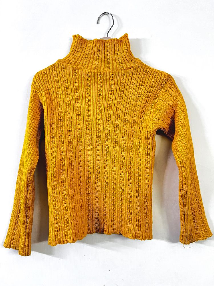 High Neck Woman winter Sweater