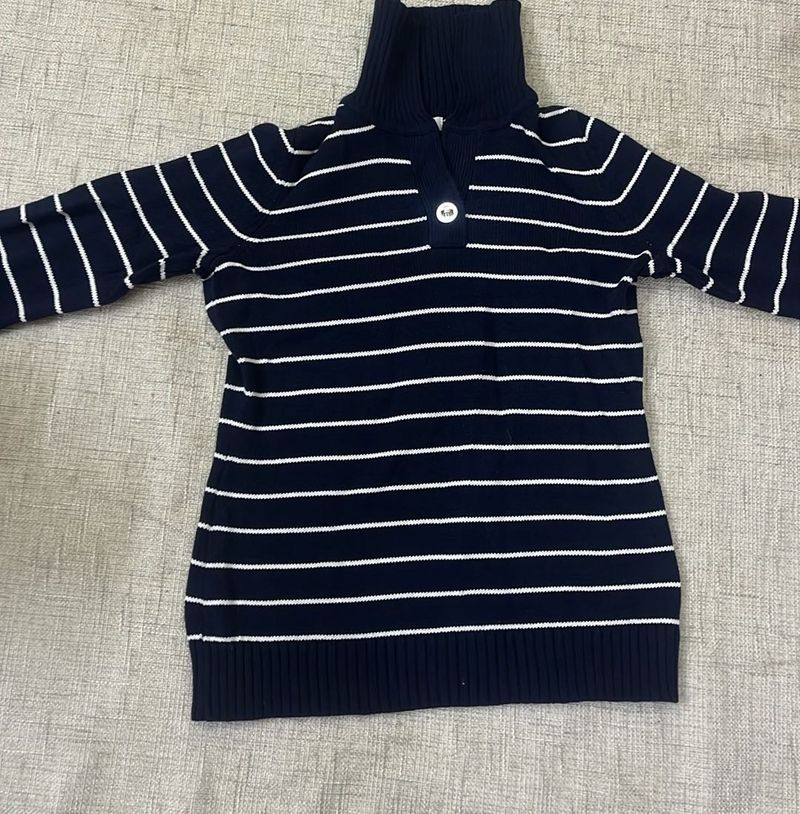 Striped Navy Turtleneck Sweater