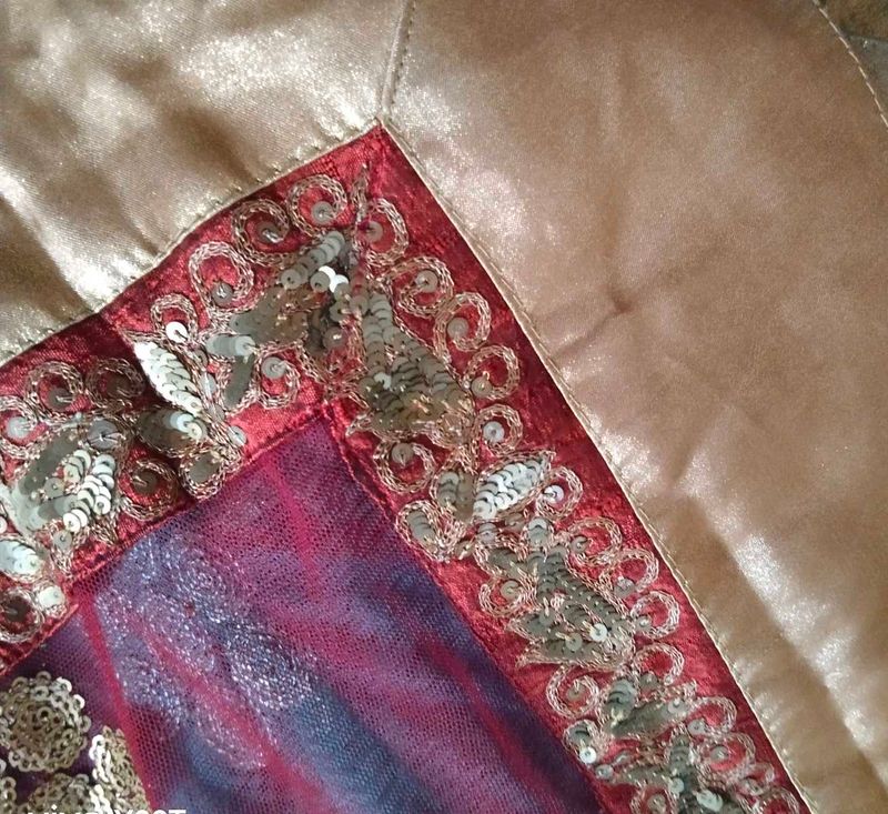 Embellished Saree Border