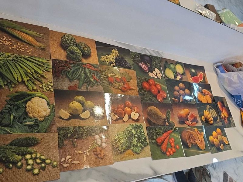 picture cards, toy cars, tennis ball, ceramic toys